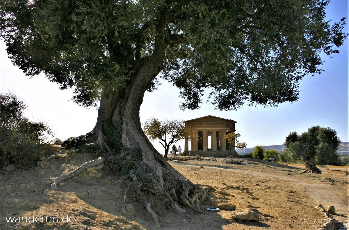 Im Valle dei Templi bei Agrigento, Sizilien