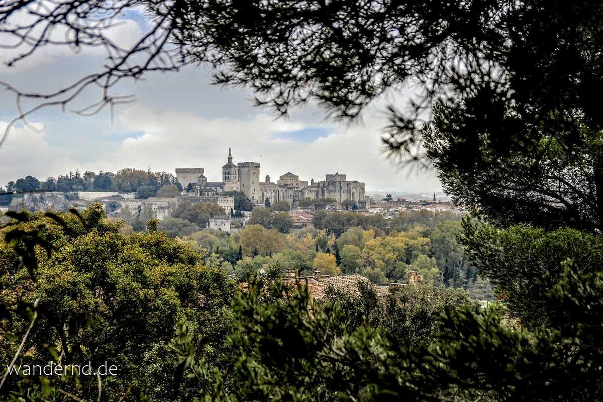 Anblick von Avignon von Villeneuve-les-Avignon aus