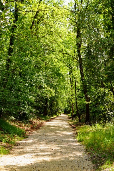 Der Percorso Verde entlang des Tiber. Eine schöne Alternative zur Via di Francesco, die mehr über Straßen und Gewerbegebiete verläuft