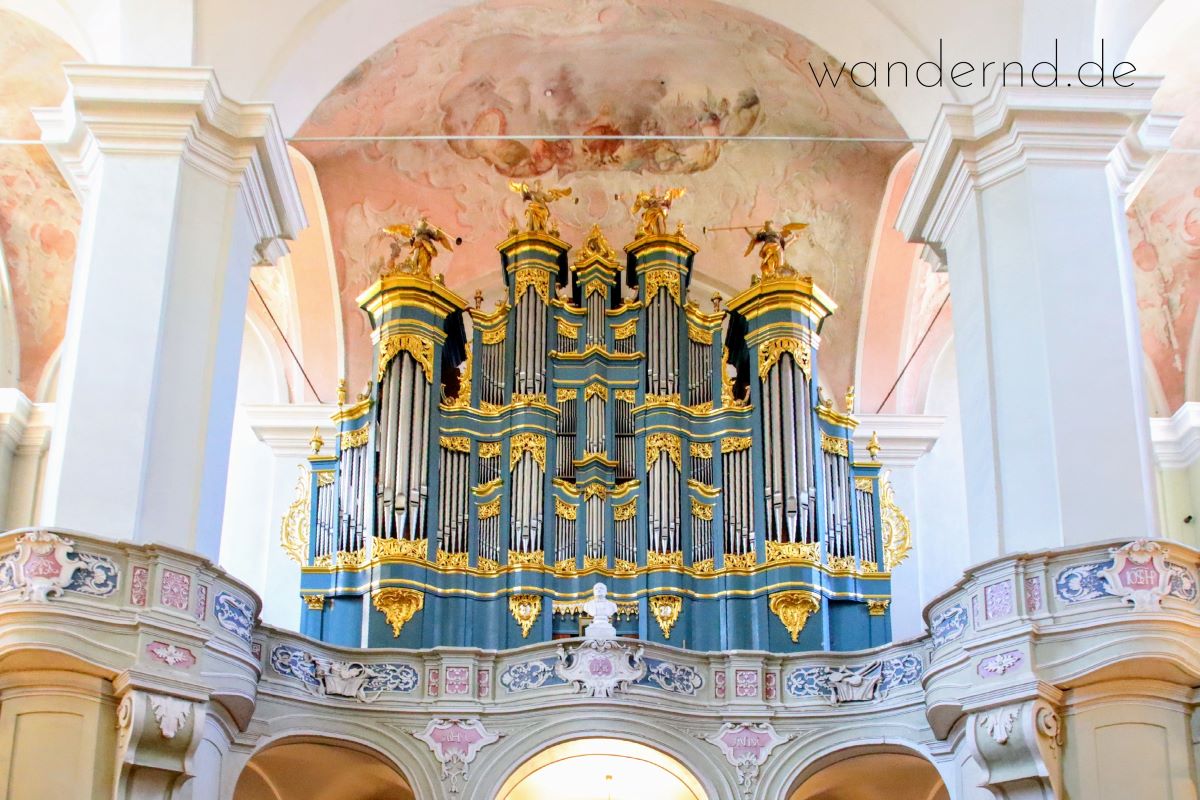 Orgel in der Universitätskirche